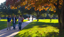 Students walking under trees in autumn