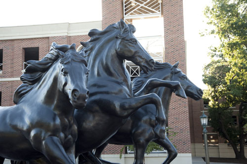 Mustangs statue at SMU