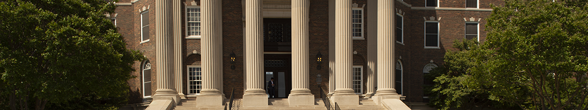 Cropped image of Dallas Hall Steps and Columns.