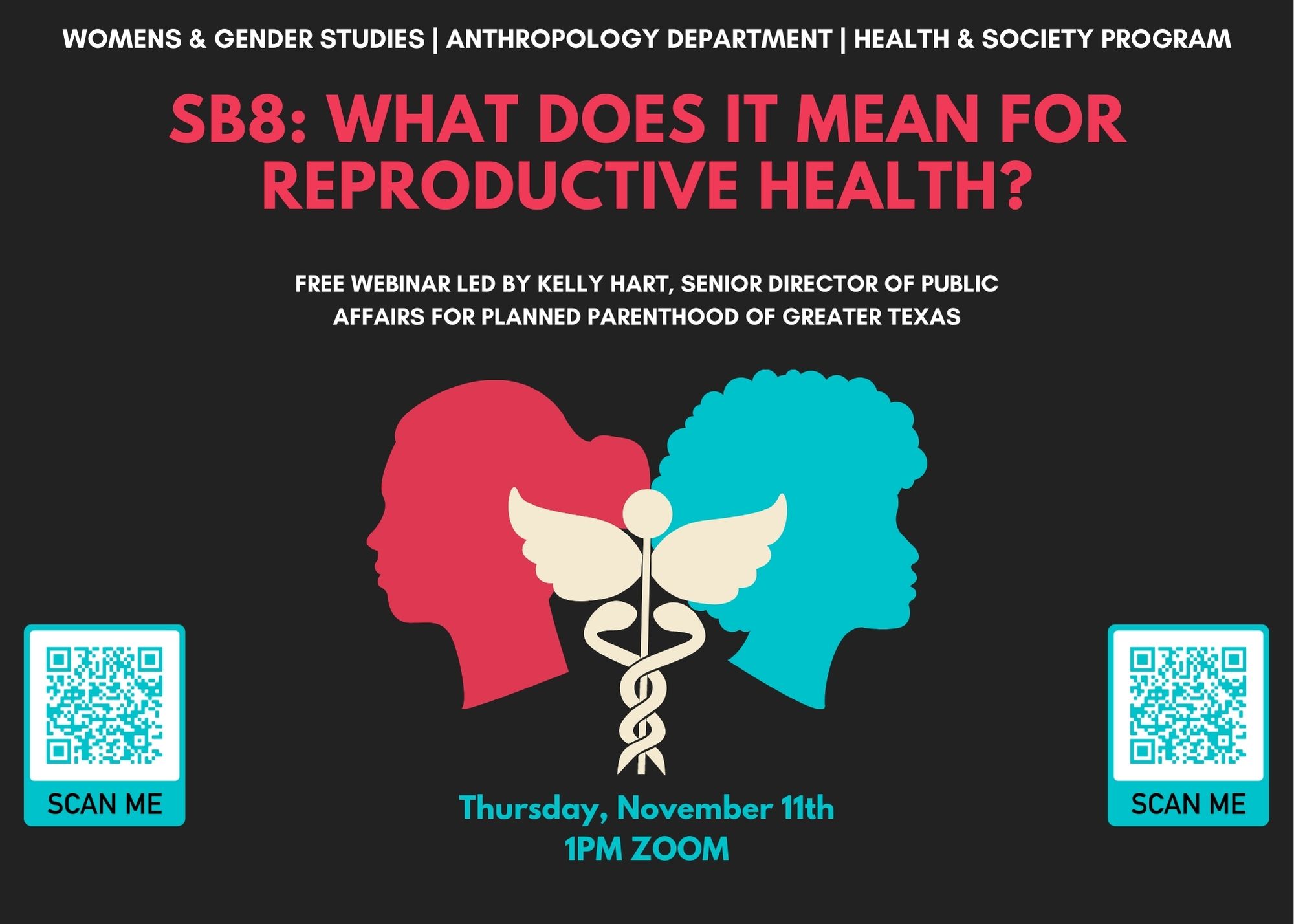 reproductive health poster