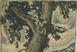 [Oak Tree], By Everett F. Spruce, ca. 1934-1935