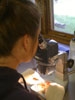 Student at a microscope in Taos