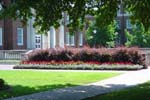 SMU Campus