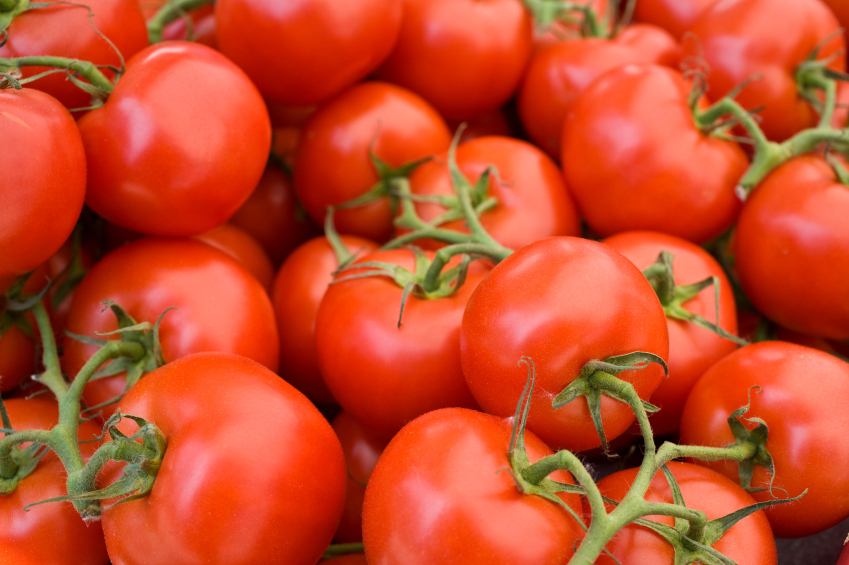 Stock photo of tomatoes on the vine