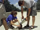 Helping