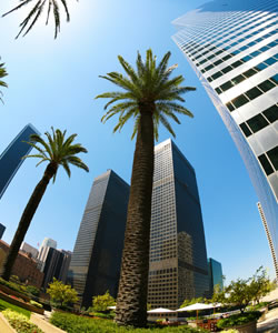 Los Angeles