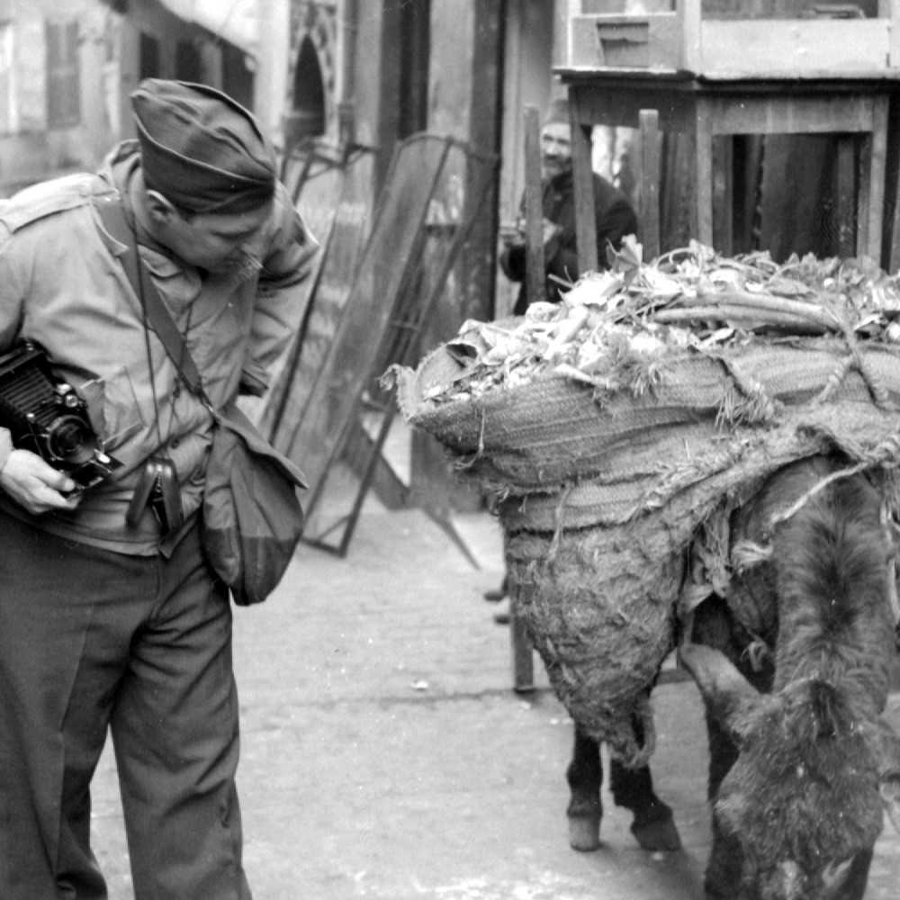 World War II soldier with mule