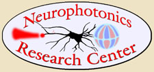 Neurophotonics Research Center Logo on tan background