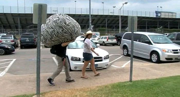 Move-In video