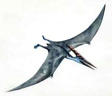 pteranodon