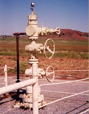 Gas Well Head