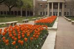 SMU Campus