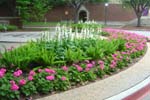 SMU Campus