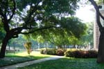 SMU Campus