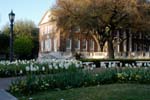 SMU Campus