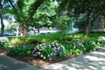 SMU Campus