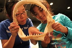 Jawbone