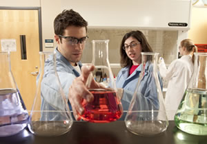 Undergraduate Research