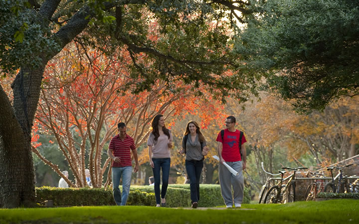 Fall Foliage at SMU
