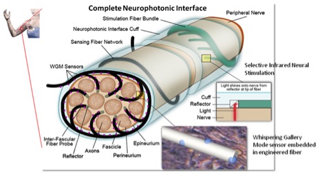 DARPA Neurophotonic Research Center
