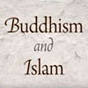 'Buddhism and Islam on the Silk Road' by SMU Professor Johan Elverskog 