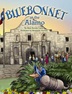 Bluebonnet at the Alamo