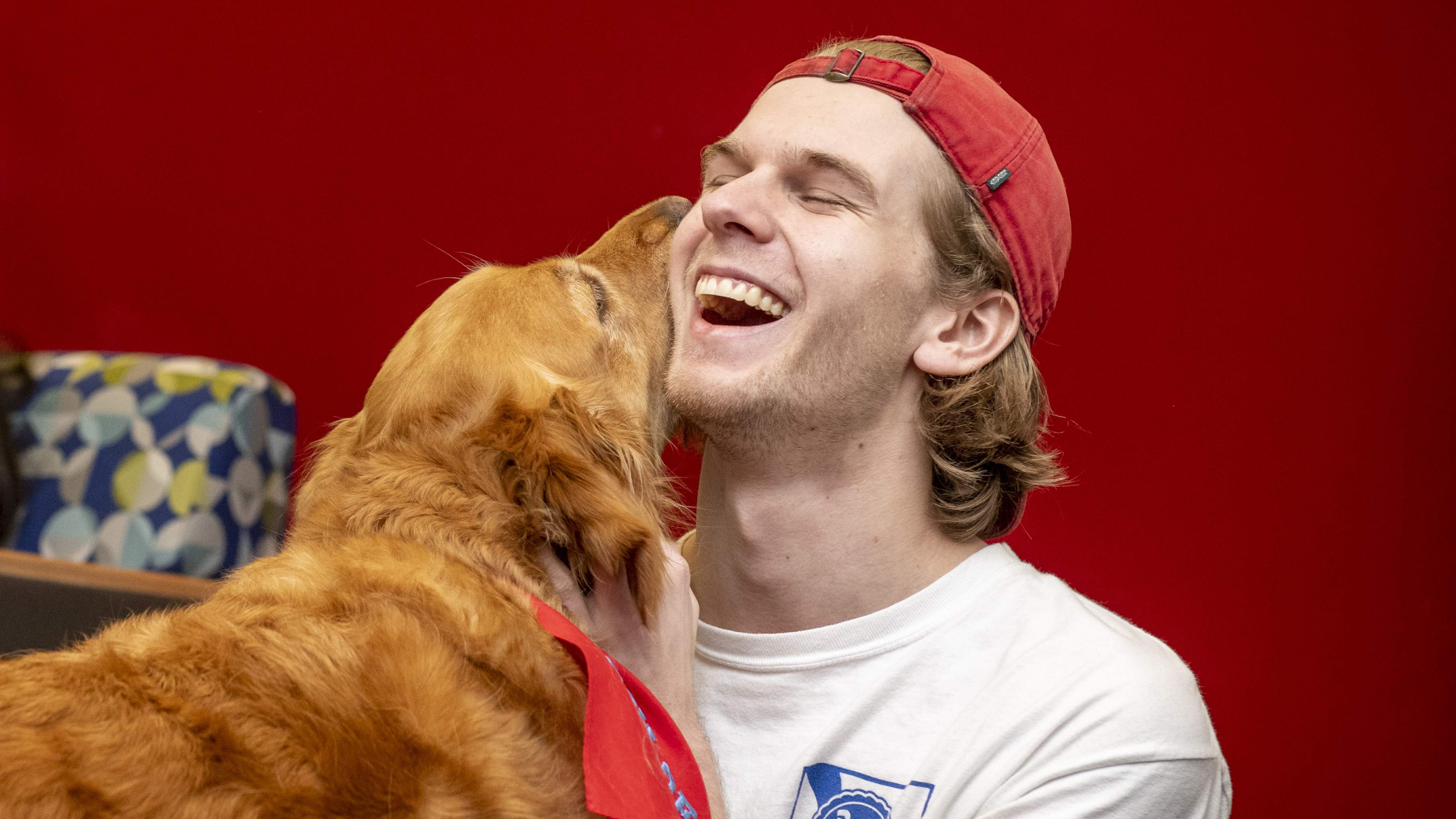 person laughing with dog