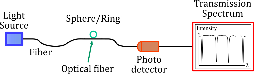 Representation of the whispering gallery mode (WGM) resonator and its operation.