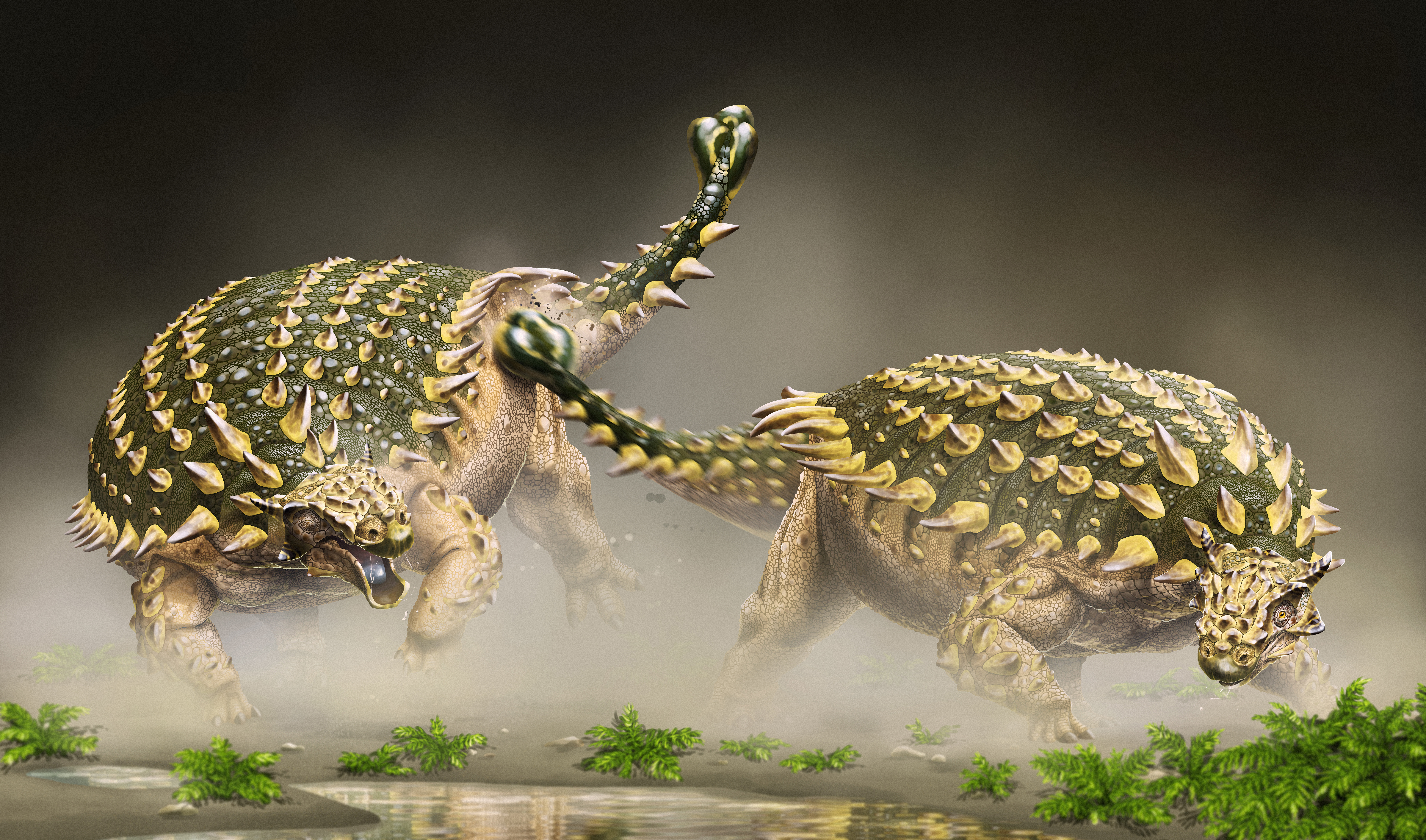 New ankylosaurid dinosaur Tarchia tumanovae sp. nov. 