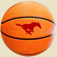 basketball with Mustangs logo