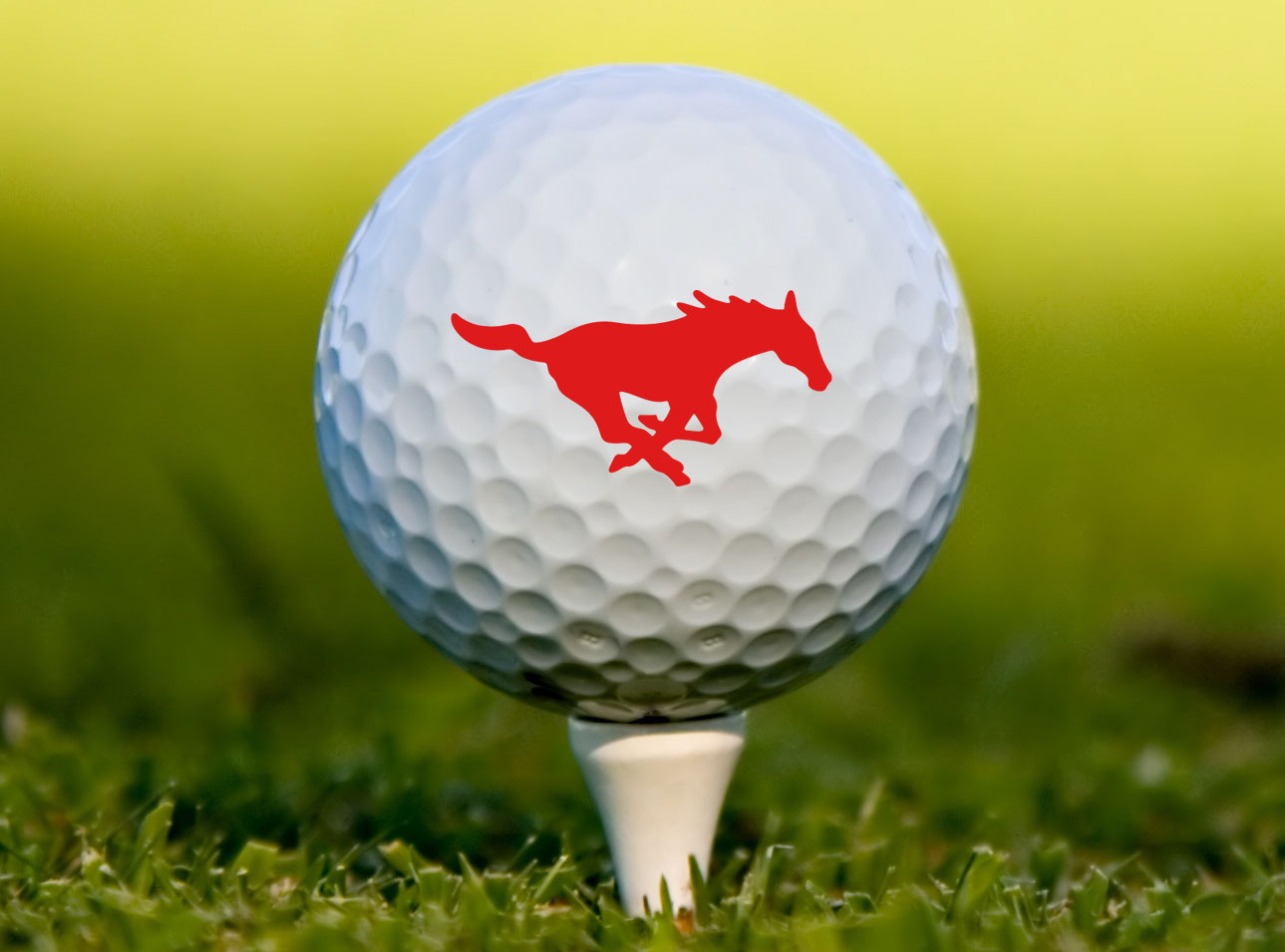 Golf Ball with Mustang