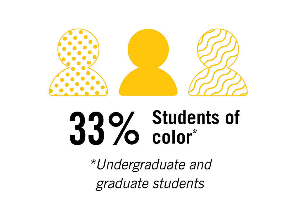 Students of color chart