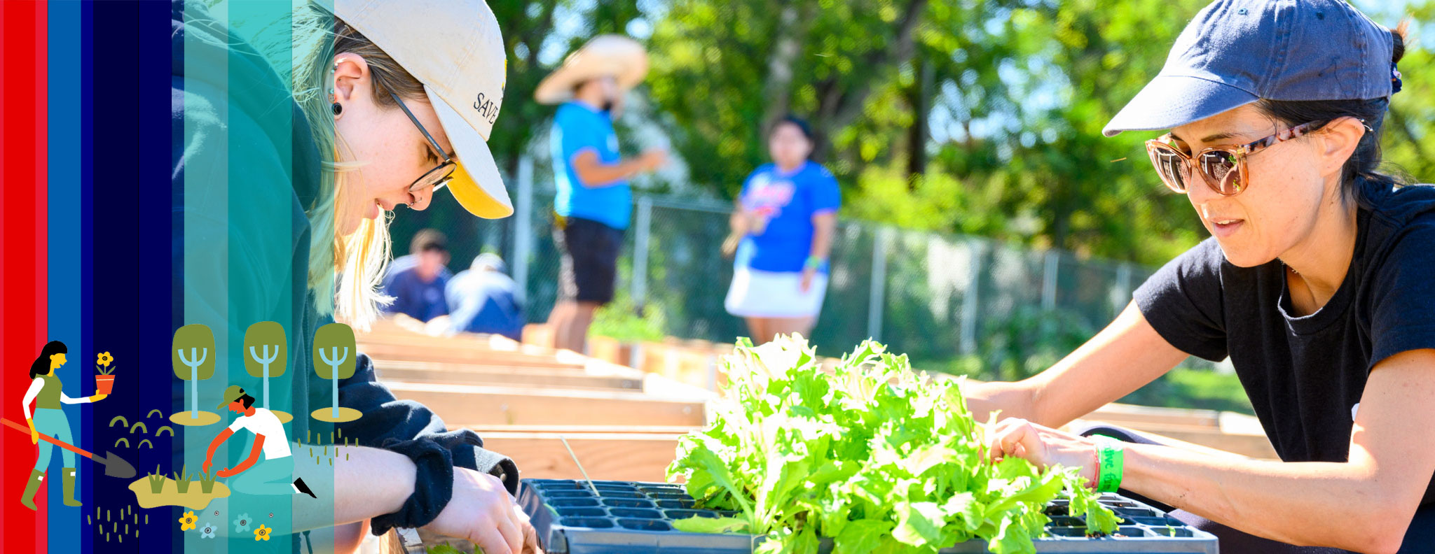 Students gardening