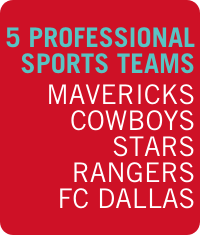 5 Professional Sports Teams
