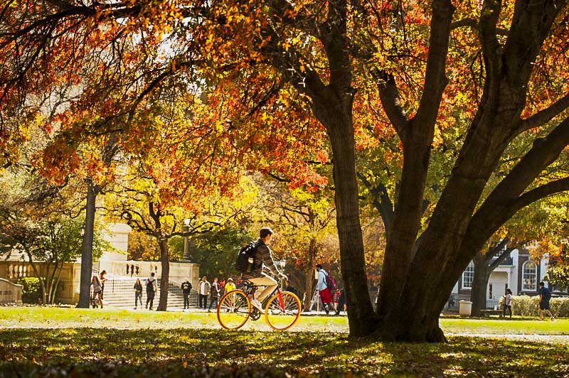 student biking on campus during fall 