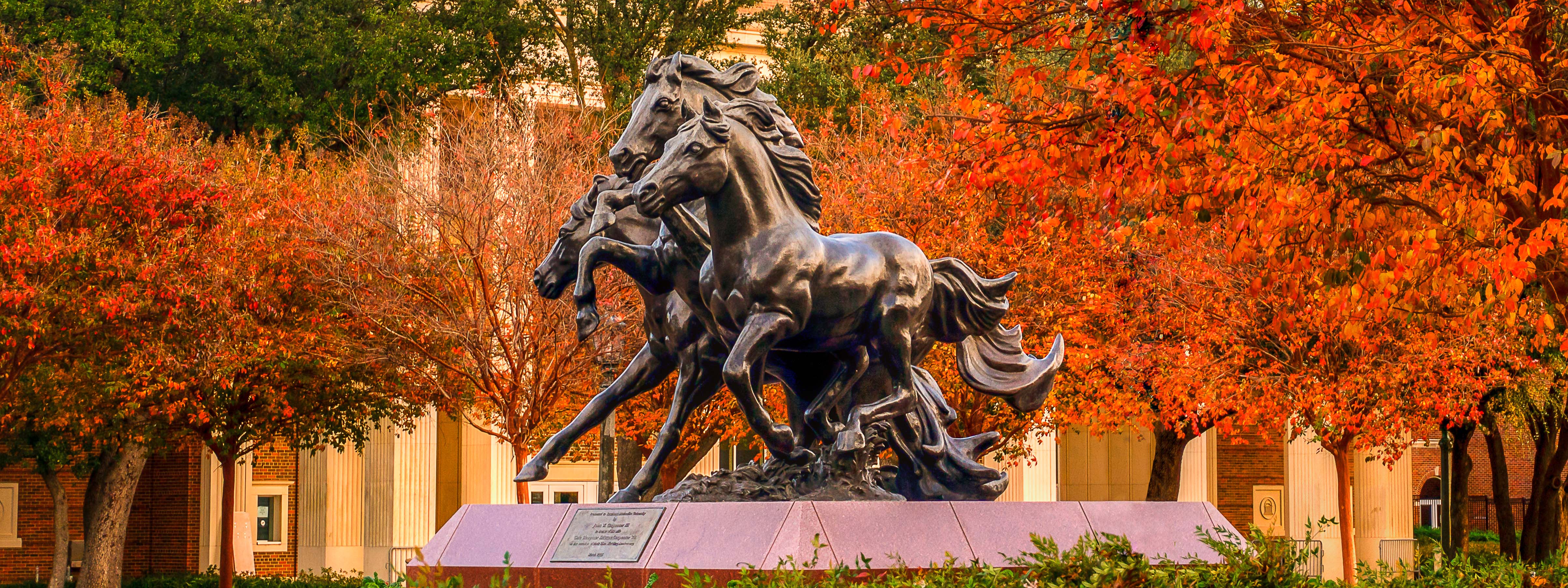 SMU Human Resources - SMU Human Resources SMU Human Resources - SMU Human Resources