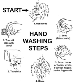 Instructions to hand washing