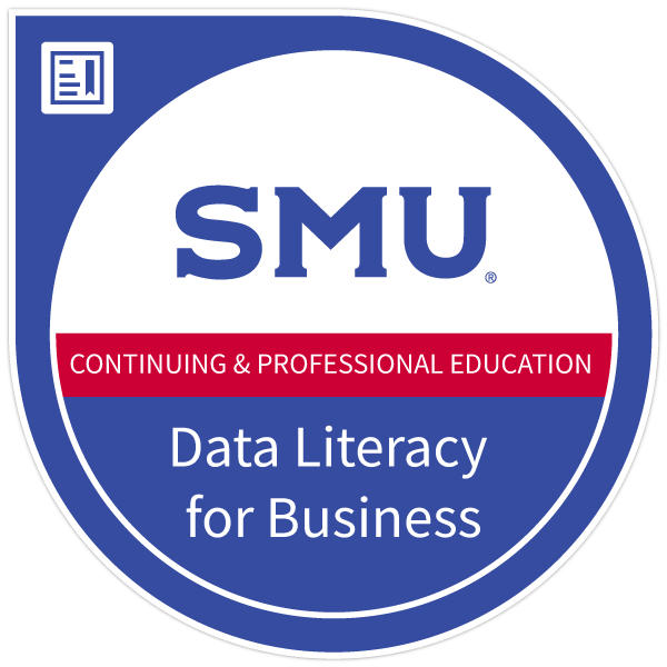 Data Literacy for Business badge image