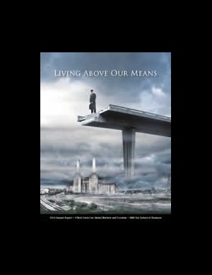 2013 Annual Report cover
