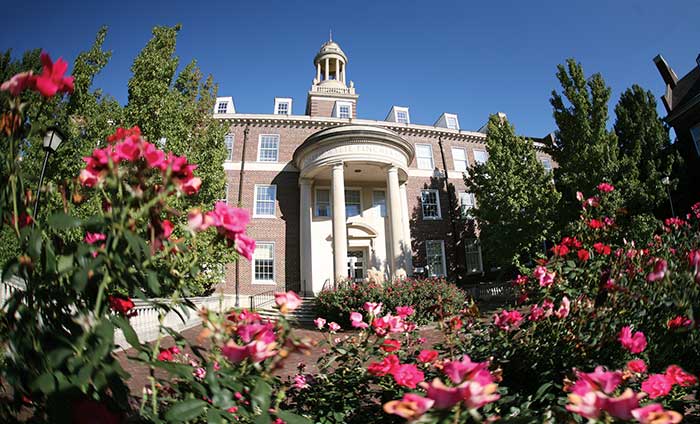 Smu application essay examples picture