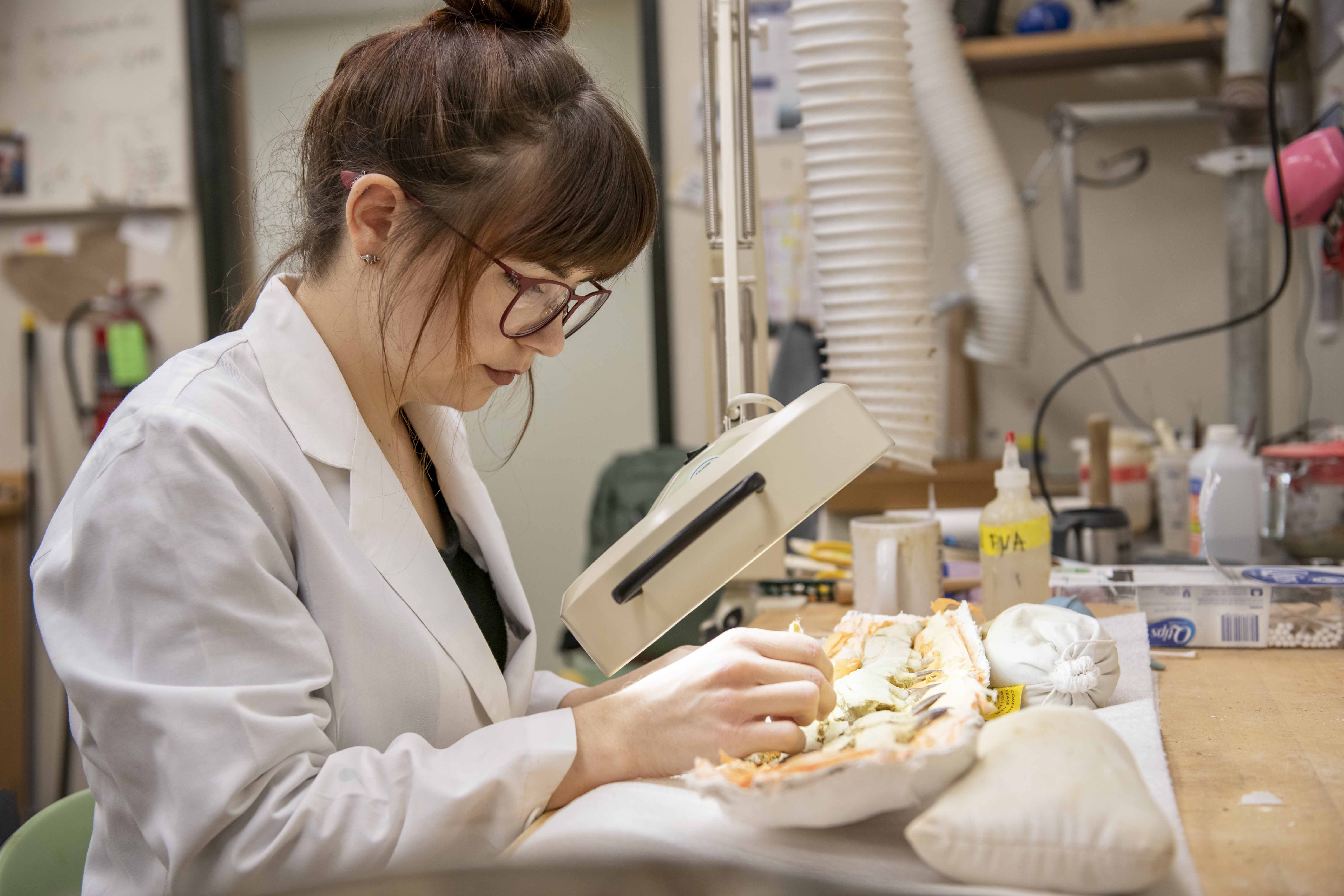 student in lab studying fossils