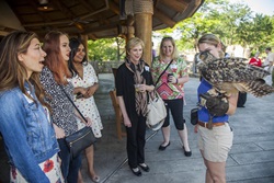 Dallas Zoo event guests watch in awe as trainer holds an owl on her arm.