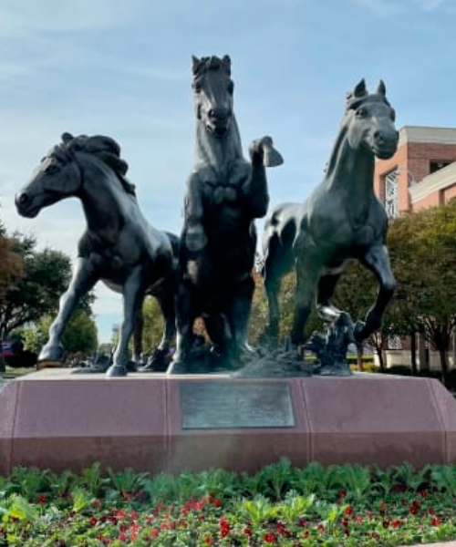 Admissions SMU Dedman School of Law