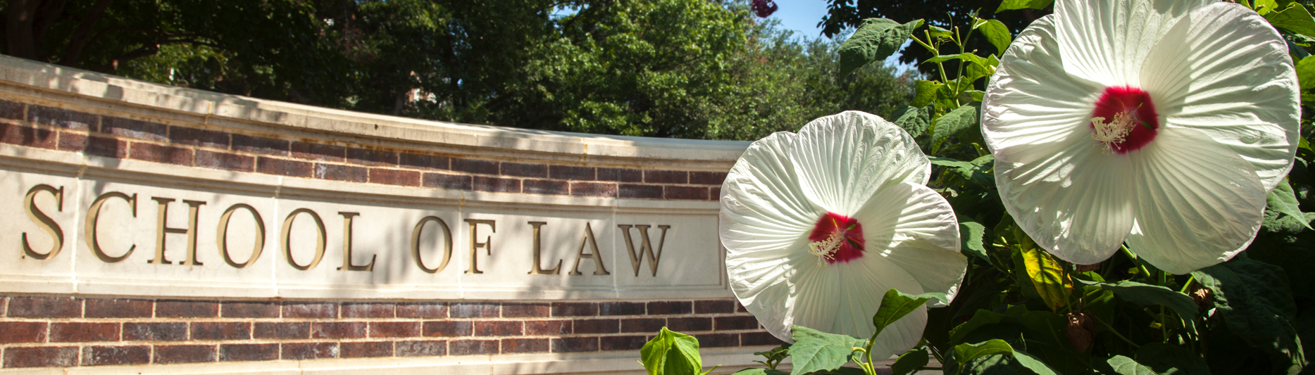 Admitted Students SMU Dedman School Of Law Admitted Students SMU Dedman School Of Law