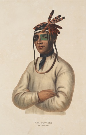  Caa-Tou-See, An Ojibway.