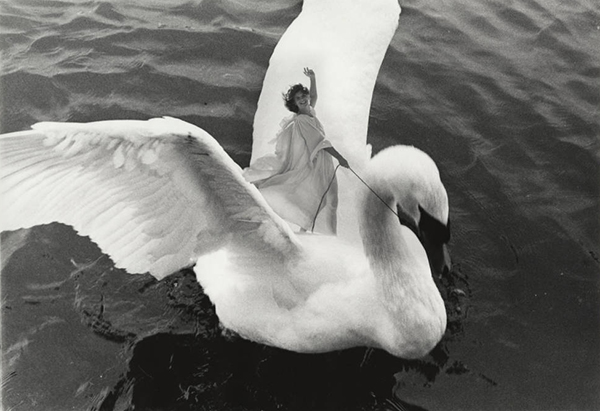 Swan, by Lynn Lennon, ca. 1977-1979