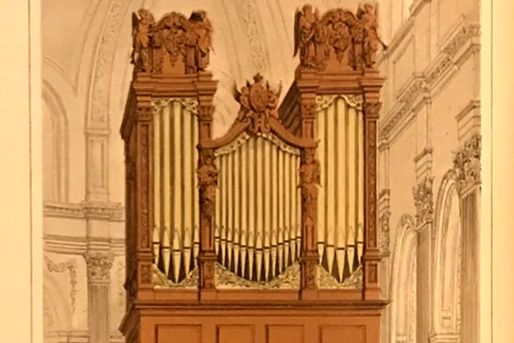 rendition of an organ in brown