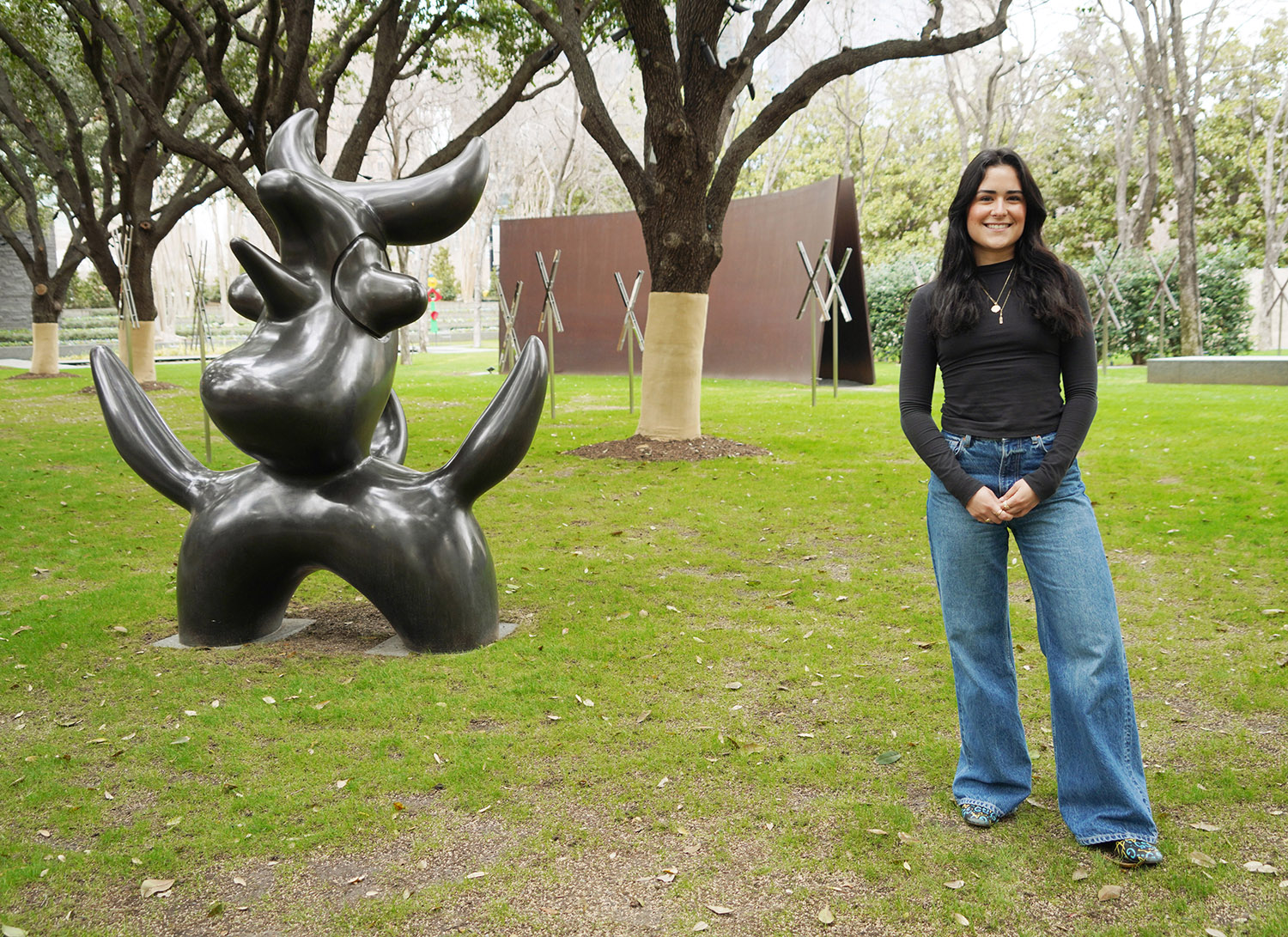 Internships Meadows School of the Arts, SMU