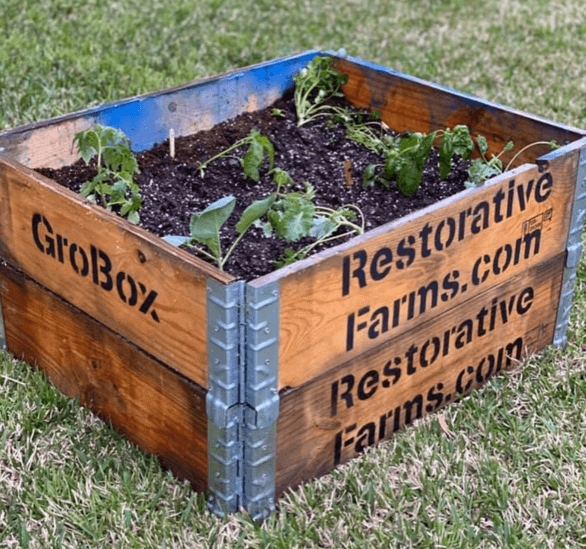 GroBox - plants in a wooden box