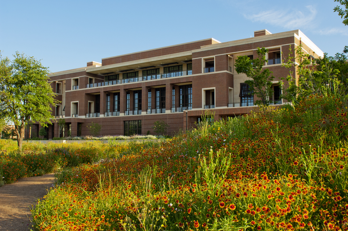 An image of the Bush Center amongst wildflowers